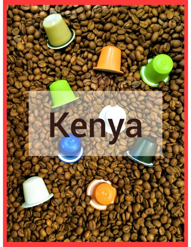 Capsule Café KENYA : Corsé - Fruité