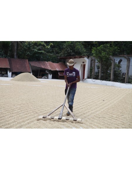 Café Guatemala LA MOCHILITA