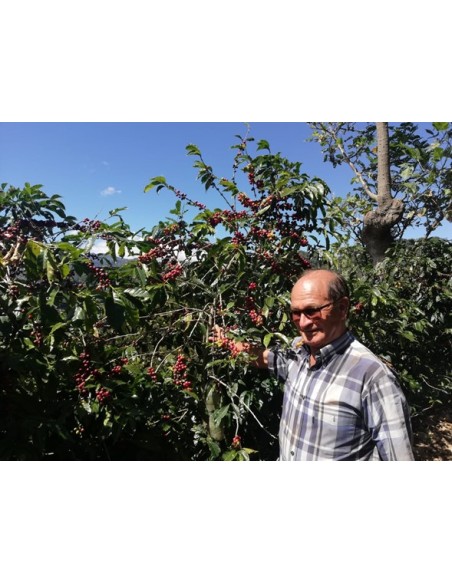 Café d'exception Costa Rica TARRAZU : score  86,5/100