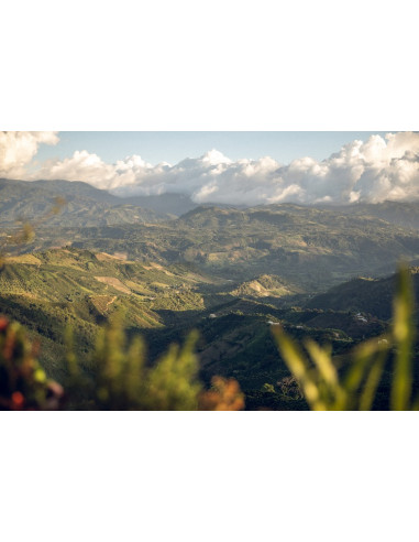 Café d'exception : Colombie...