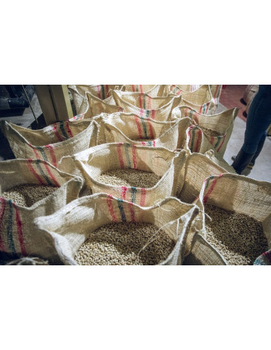 Café d'exception : Colombie...