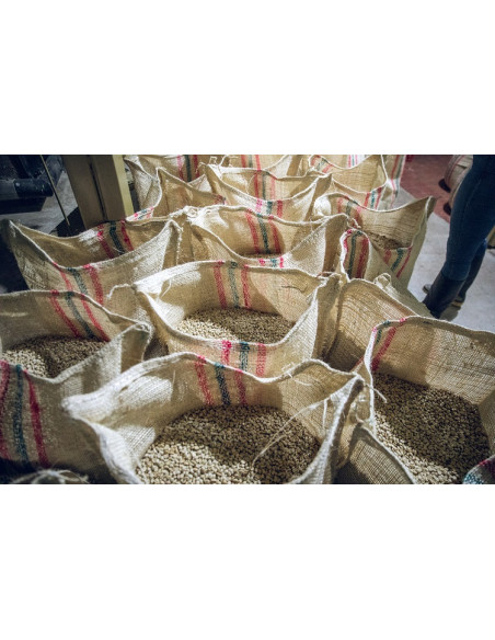 Café d'exception : Colombie JAGUARUNDI    score: 86/100