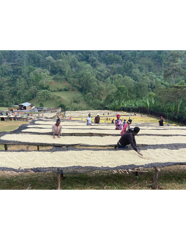 Café Moka SIDAMO  score : 84,5/100