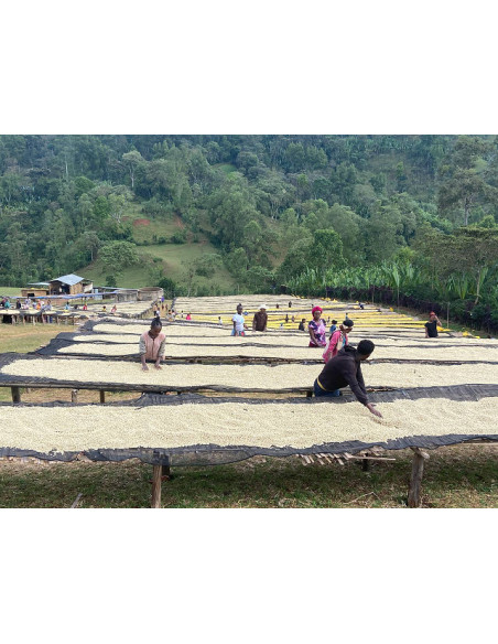 Café Moka SIDAMO  score : 84,5/100