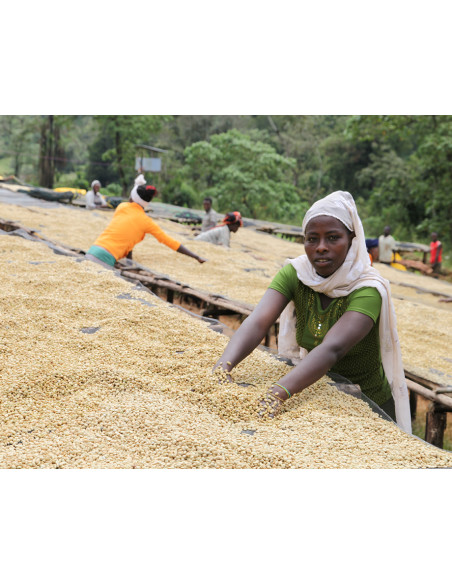 Café Moka SIDAMO  score : 84,5/100